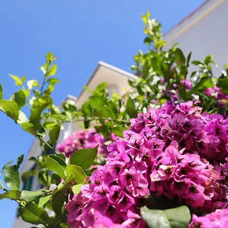 Apartment Suzana Ždrelac