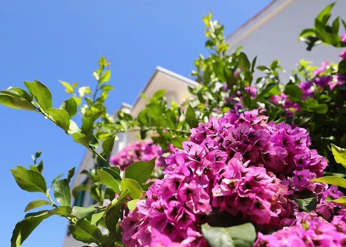 Apartman Suzana Zdrelac